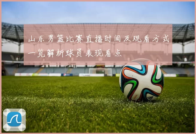 山东男篮比赛直播时间及观看方式一览解析球员表现看点