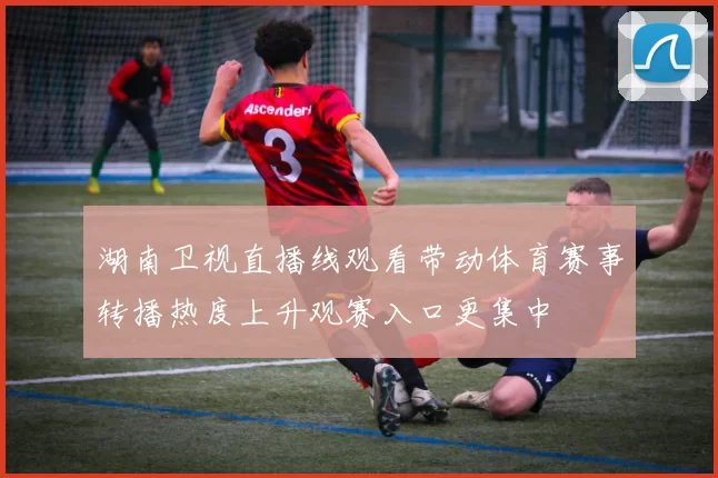 湖南卫视直播线观看带动体育赛事转播热度上升观赛入口更集中