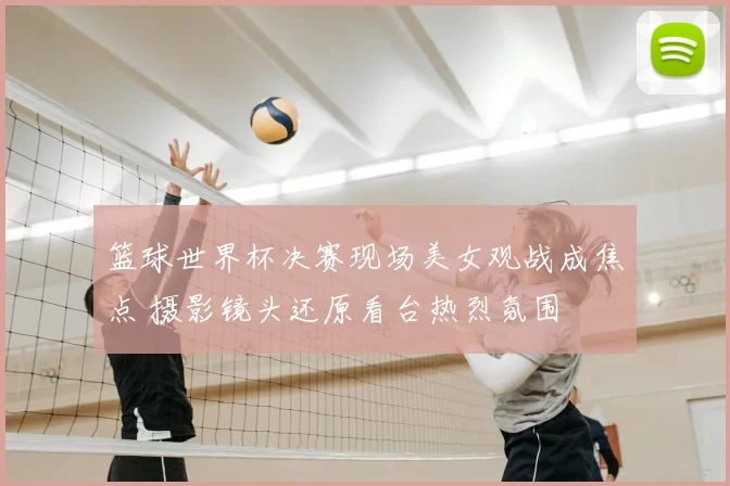 篮球世界杯决赛现场美女观战成焦点 摄影镜头还原看台热烈氛围